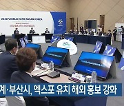 정부·재계·부산시, 엑스포 유치 해외 홍보 강화