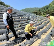 최승준 정선군수, 농촌 가뭄 피해 최소화 방안 마련 현장 방문