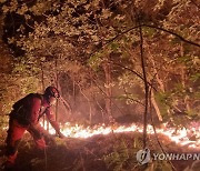 밀양 대형산불 나흘 만에 진화..축구장 면적 1068개 피해