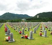 대전현충원, 5년간 플라스틱 화병 10만기 석재로 교체