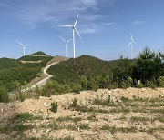 산림청, 장마철 대비 풍력·태양광 허가지 재해예방 현장점검