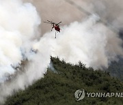 나흘째 불탄 밀양산불 교훈..여름철 산불 대응력 키워야