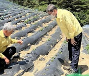 최승준 정선군수, 가뭄 현장 점검 "근본 대책 마련하겠다"