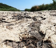 5~6일 남부지방 중심 곳곳 단비..해갈은 어려워