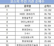 코스피 주간 기관 순매수 1위 'LG화학'