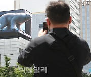 [포토]HS애드, 환경의 날 맞아 북극곰 영상