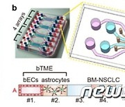 '암세포 체외배양' 치료제 반응 미리 예측..'미세유체칩' 개발