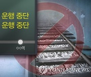 전철 1호선 독산∼금천구청역서 고장..18분간 운행 지연