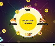 Nexon joining the blockchain and metaverse race with MapleStory