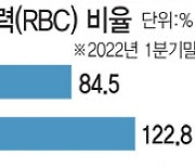 보험사 건전성 규제 풀어줬다..DGB생보·한화손보 숨통