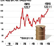 유가 120달러 돌파..치솟는 美휘발유값 "지갑도, 연료탱크도 비었다"