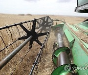 TUNISIA AGRICULTURE BARLEY HARVEST