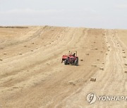 TUNISIA AGRICULTURE BARLEY HARVEST