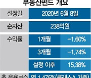 [펀드줌인] 美 등 선진국 리츠 투자..2년 수익률 15%