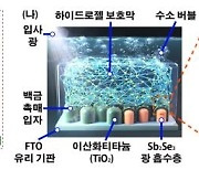 광전극 내구성 강화해 태양 빛 이용 그린 수소 생산효율 높인다