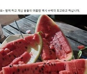 김남국, 이원욱 '수박' 사진에 "국민 조롱..명백한 잘못"