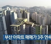 부산 아파트 매매가 3주 연속 '보합'