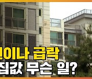 [자막뉴스] '7억 원 급락'..강남 집값이 심상치 않다