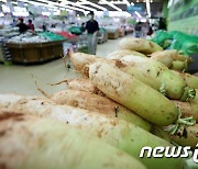 '가뭄 후폭풍' 밭작물 가격 '들썩'