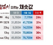 '가뭄 후폭풍' 밭작물 가격 '들썩'..공장 중단 '우려'