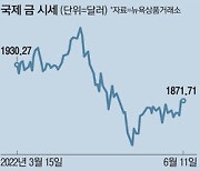 "인플레, 드루와"..힘붙는 달러·금 ETF