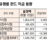 [표]유형별 펀드 자금 동향(6월 10일)