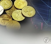 [특징주] 비트코인 급락에 관련주 일제히 내리막..비덴트 6%대↓