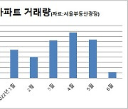 규제·금리인상에 얼어붙은 주택거래..하반기에도 지속된다