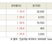 [fnRASSI]오늘의 상한가, 가온칩스 30.0% ↑