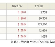 [fnRASSI]오늘의 상한가, TS인베스트먼트 30.0% ↑