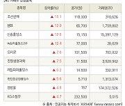 [fnRASSI]장마감, 거래소 상승 종목(조선선재 15.1% ↑)