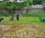 안양시 안양천 꽃동산 조성중..시민 힐링선물