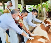 Sacrificial livestock price shoots up ahead of Idul Adha