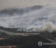 SPAIN WILDFIRES