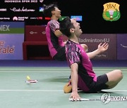 Indonesia Open Badminton