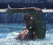 Hungary Swimming Worlds