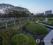 Thailand Urban Oasis