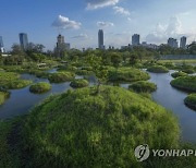 Thailand Urban Oasis