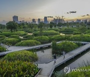 Thailand Urban Oasis