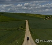 Spain's Pilgrim's Path