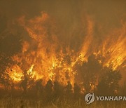 Spain Wildfire