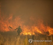 Spain Wildfire