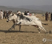 APTOPIX Pakistan Daily Life