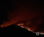 Spain Wildfire