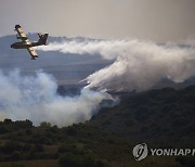 Spain Wildfire