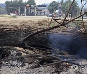 SPAIN FOREST FIRES