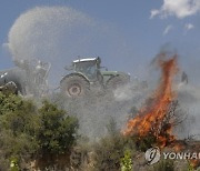 SPAIN FOREST FIRES