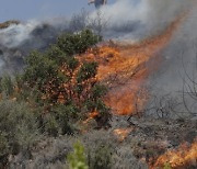 SPAIN FOREST FIRES