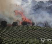 SPAIN FOREST FIRES