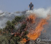 SPAIN FOREST FIRES